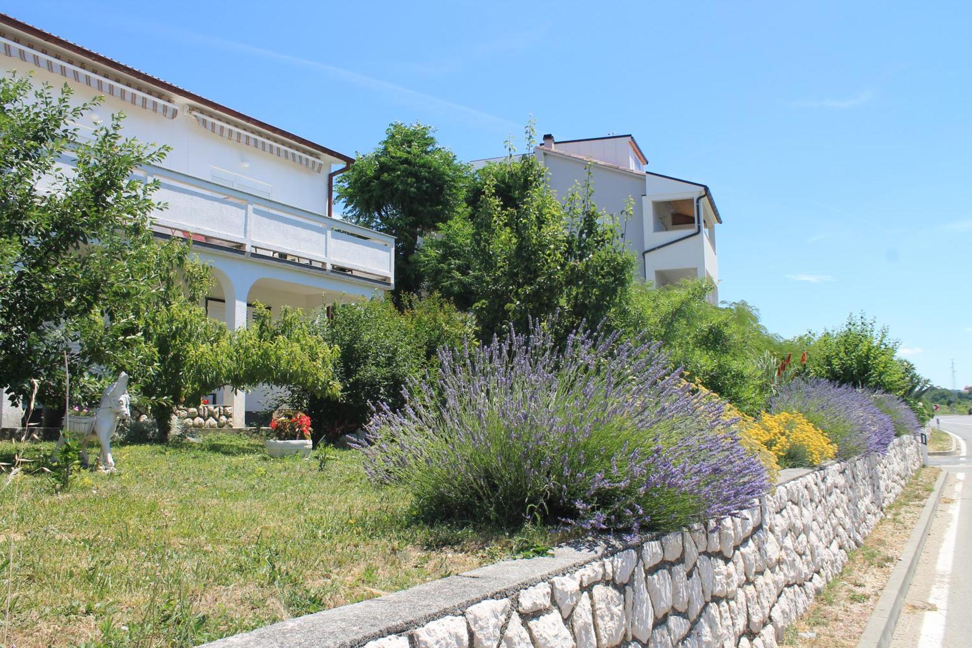 Apartments 501 - Rab Island Oasis Retreat Supetarska Draga Eksteriør bilde