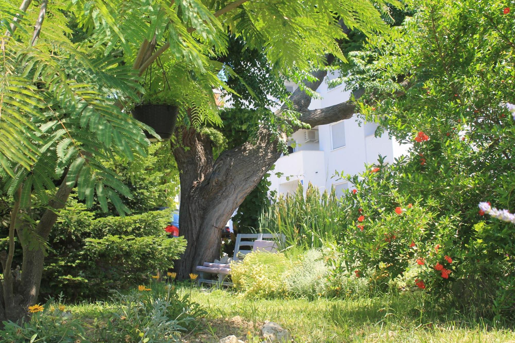 Apartments 501 - Rab Island Oasis Retreat Supetarska Draga Eksteriør bilde