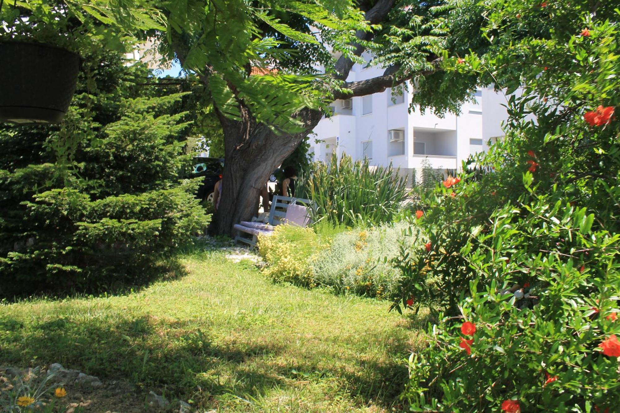 Apartments 501 - Rab Island Oasis Retreat Supetarska Draga Eksteriør bilde