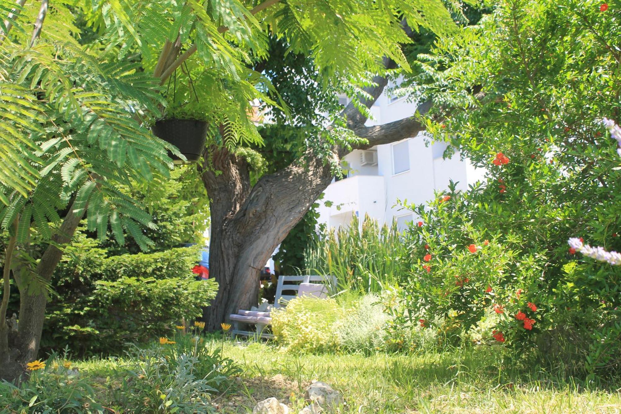 Apartments 501 - Rab Island Oasis Retreat Supetarska Draga Eksteriør bilde