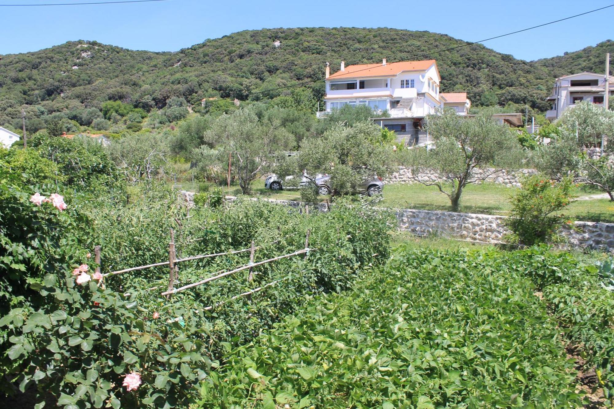 Apartments 501 - Rab Island Oasis Retreat Supetarska Draga Eksteriør bilde