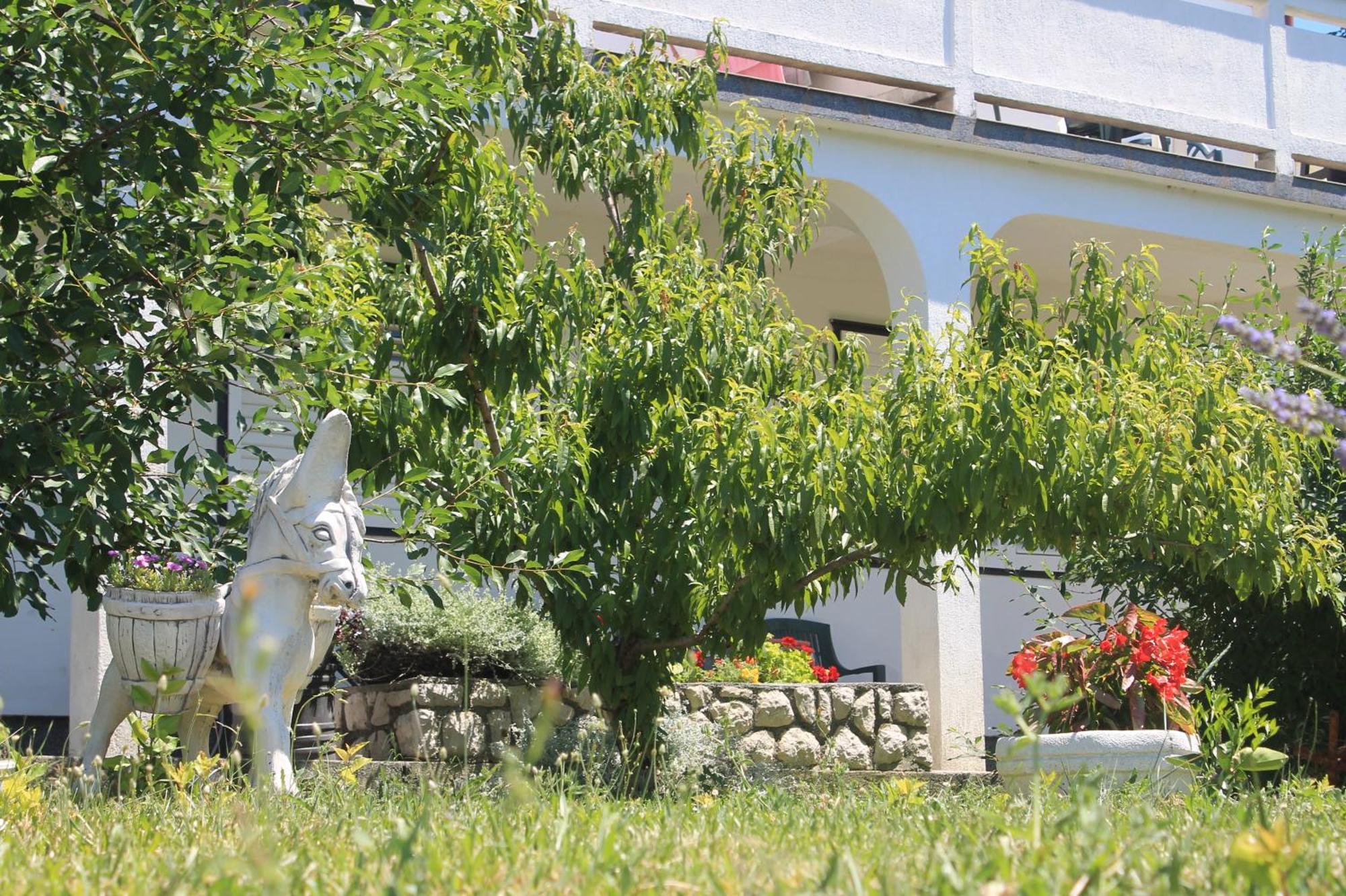 Apartments 501 - Rab Island Oasis Retreat Supetarska Draga Eksteriør bilde